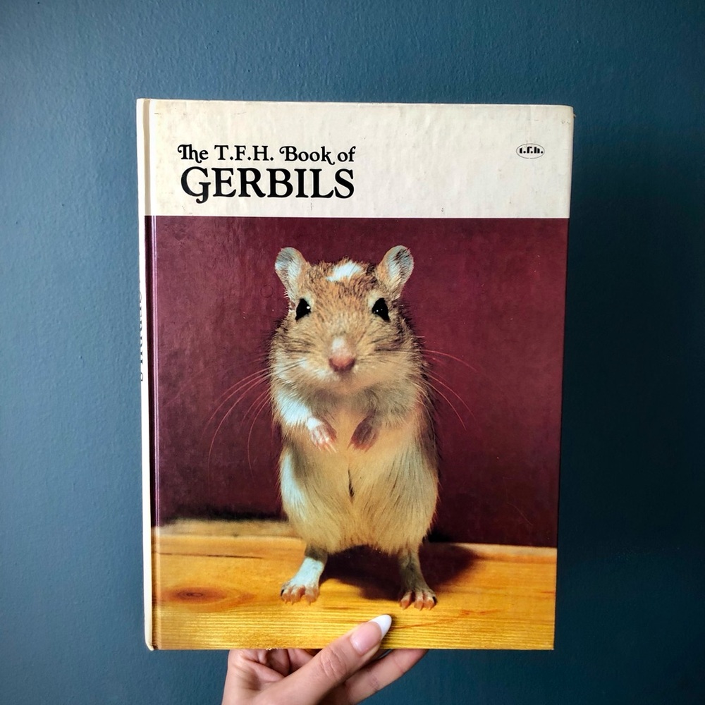 Vintage Gerbil Book / Color Photography / How To for Furry Friends